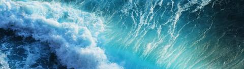 Waves
